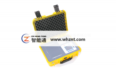 西安ZNT-3100  日皮视频在线观看电导盐密度测试仪